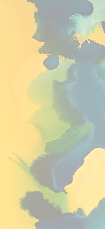 2D